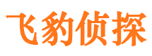 宁安捉小三公司